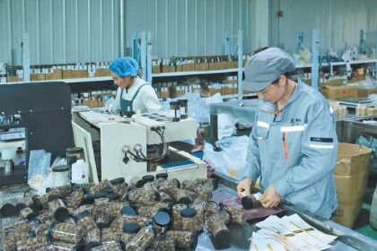 岷縣 電商訂單生產忙